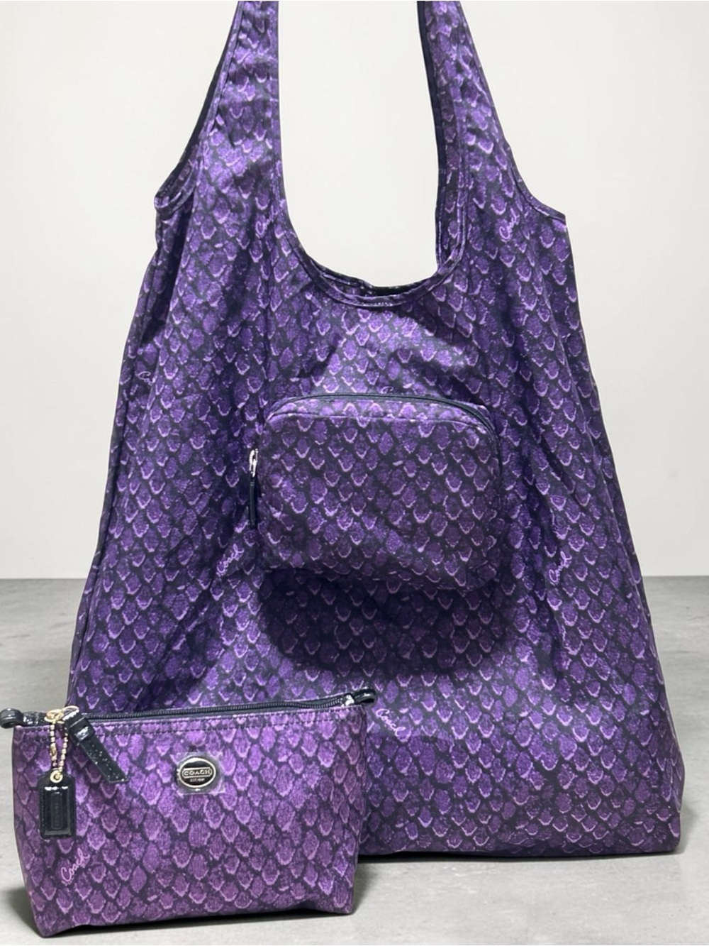 COACH Poppy Taylor Snake Print Nylon Folding Tote and Pouch NWT